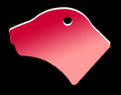 Dog, Pet Tag Aluminum, blue, green, purple or red.